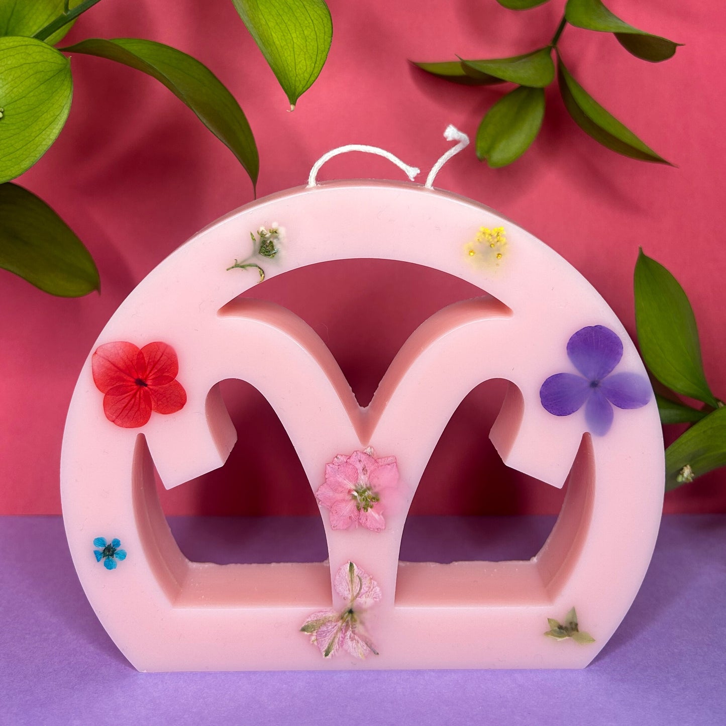 Collection Printemps 🌸