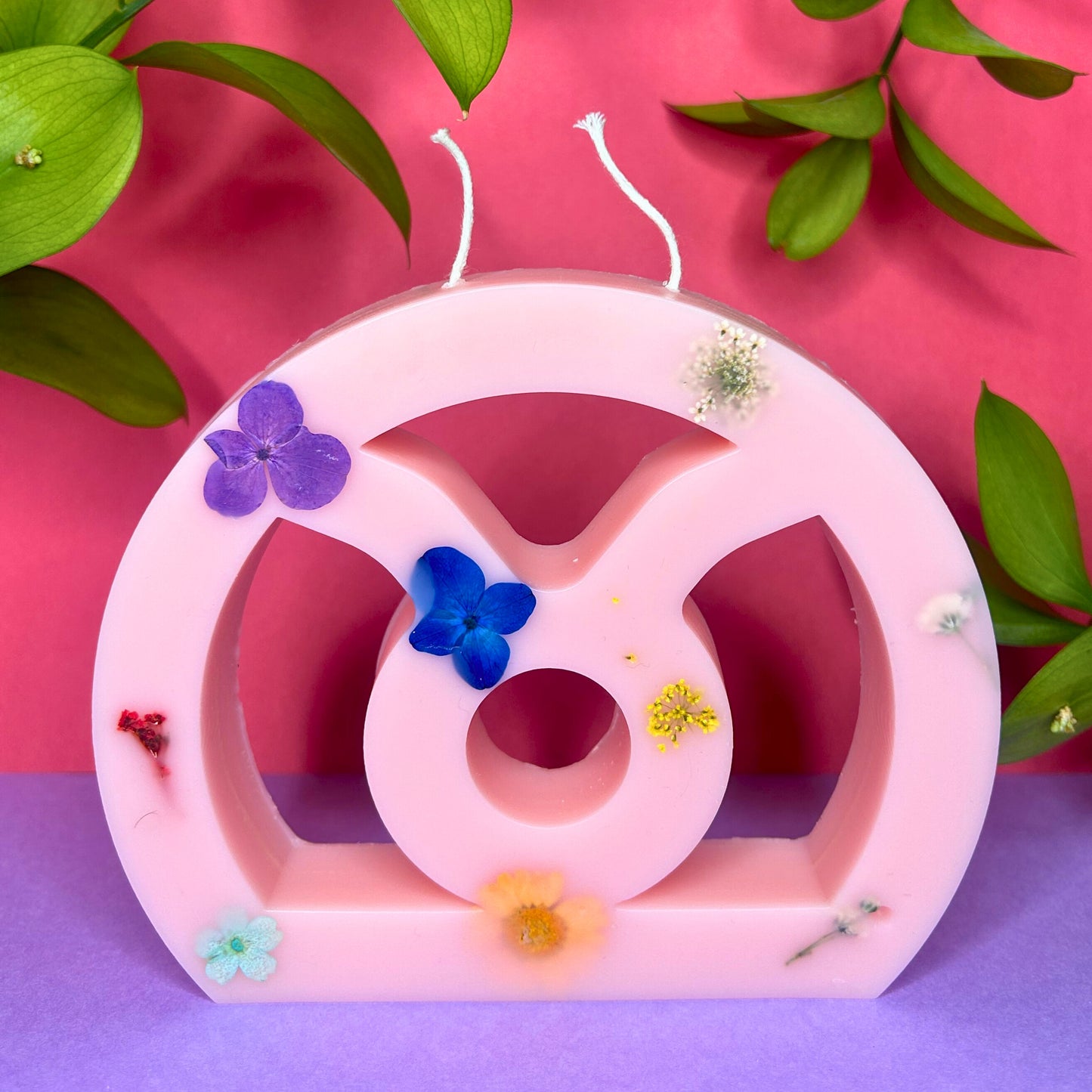 Collection Printemps 🌸