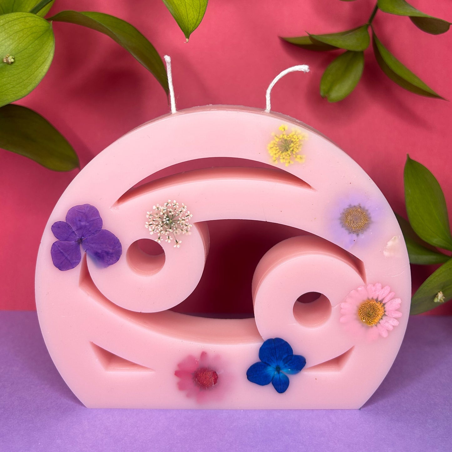 Collection Printemps 🌸