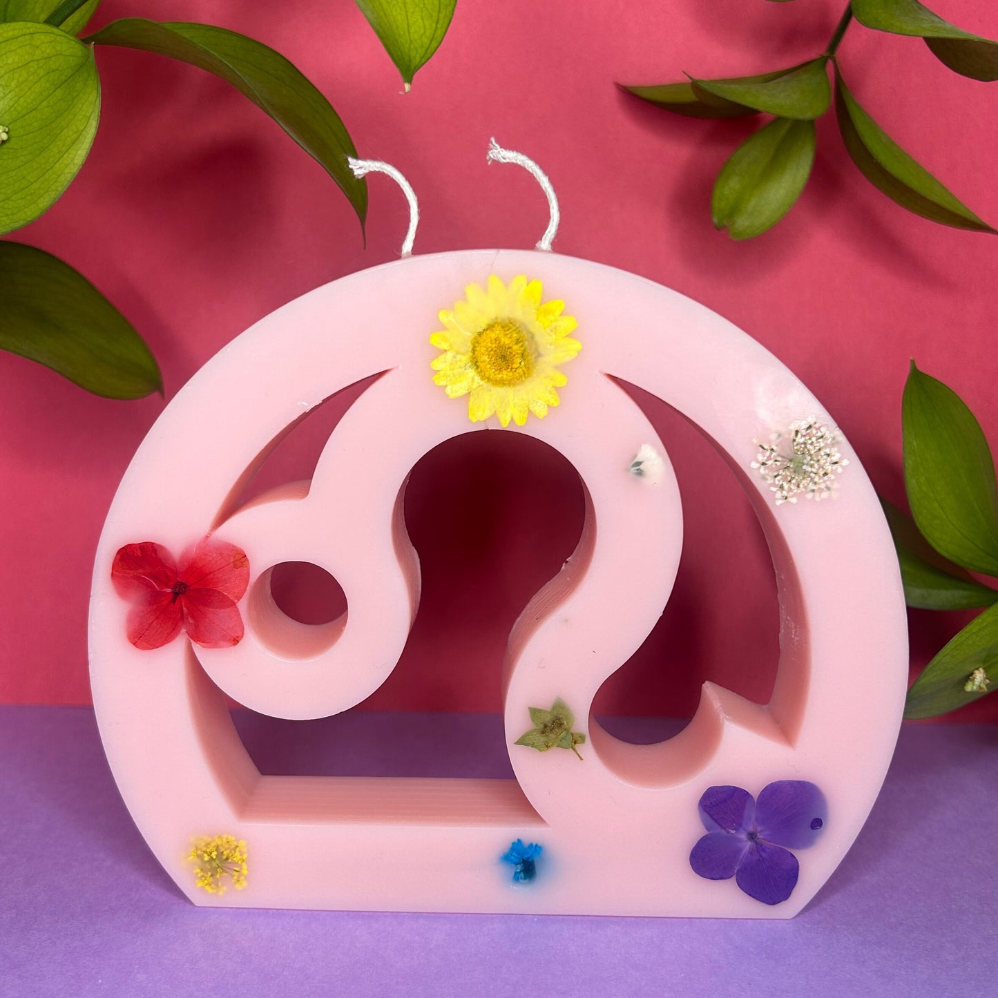Collection Printemps 🌸