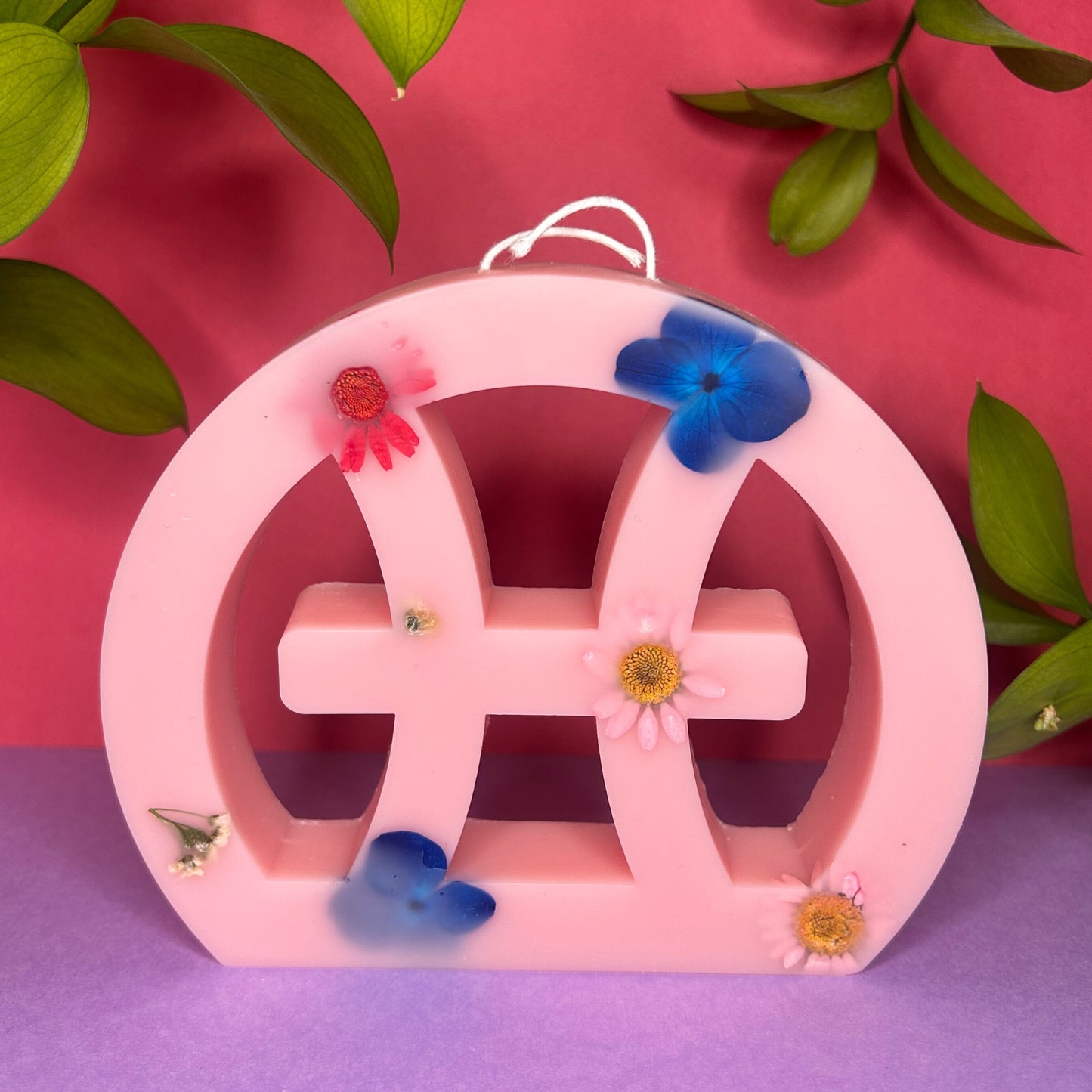 Collection Printemps 🌸